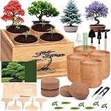 4 Pack Bonsai Tree Kit - 4 Seeds Growing Plant Bonsai Tree Live Kit for Beginners, Easy to Grow Complete Indoor Garden Starter Kits with Wooden Box & Tools, Christmas Gifts for Men Women Plant Lover