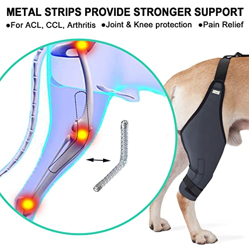 In Hand Dog Knee Brace, 8 Sizes Canine Dog Elbow Brace Knee Immobilizer Support With Metal Strips Help Dog Keep The Joint Stable, Neoprene Canine Stifle #TOP1
