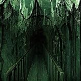 Ideal für Ihre Spukhaus- und Halloween-Partydekorationen: Legen Sie ein schwarzes gruseliges Tuch auf Türhallen, Duschvorhänge, Veranden, Decks, Fenster und Tore, um eine gruselige Note zu verleihen. Ideal für Themenpartys, Spukhäuser, Schaufenster und Ladenauslagen.