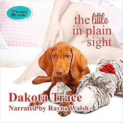The Little in Plain Sight cover art