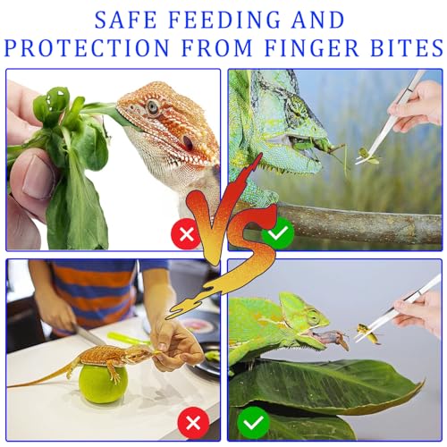 EMHTHME 2 Stück Aquarium Pinzette, 30cm Edelstahl Lange Pinzette, Aquarium Futterpinzette, Gebogen Aquarium Pinzette Lang, Reptilien Futterpinzette, für Wasserpflanze Reptilien, Futterwerkzeug