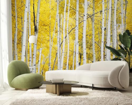 Papier peint intissé forêt jaune pour masquer un mur de chambre - 3