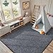 FinRèc 5x7 Washable Area Rugs for Bedroom Living Room, Low Pile Thin Rug Solid Color, Non-Slip Carpet Indoor for Home Decor (Grey)