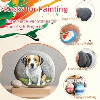 MEILALA 12PCS Large Painting Rocks, 3“-4” River Rocks for Painting ， DIY Rocks Flat & Smooth Kindness Rocks for Arts, Crafts, Decoration