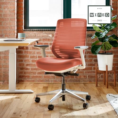 branch ergonomic chair
