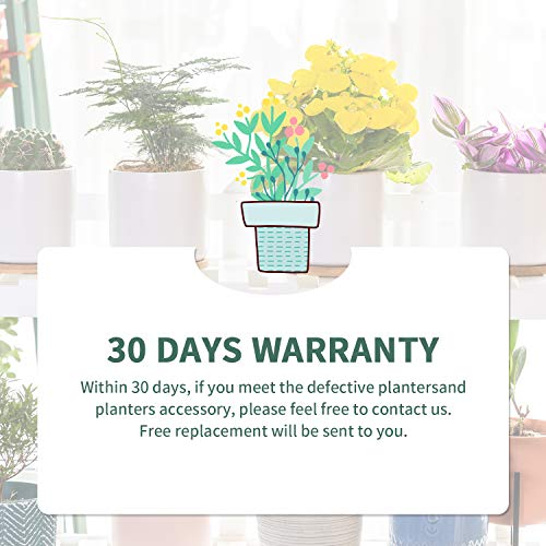 Omaykey 4 Inch Ceramic Plant Pot With Bamboo Saucer, White Planters Pots With Drainage Hole And Mesh Pads For Succulent, Indoor Flowers, Snake Plants, Cactus, Herbs - Set Of 4 (Plant Not Included) #TOP5