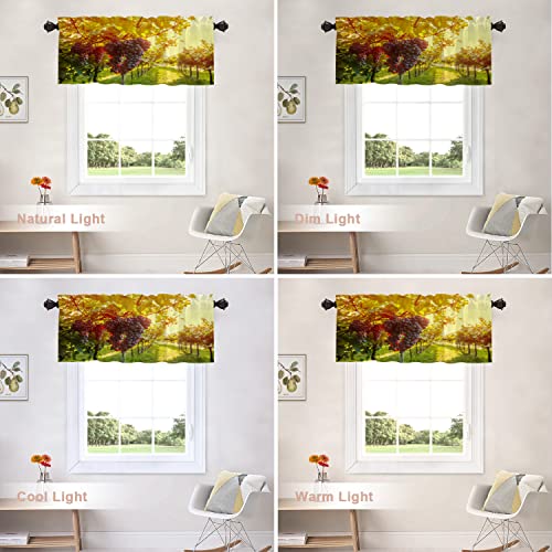 Shrahala Wine Country California Kitchen Valances Half Window Curtain, Sangiovese Grapes In Vineyard Kitchen Valance For Window Ink Printing Kitchen Valances Curtains For Kitchen Decor 52X18 Inch #TOP5