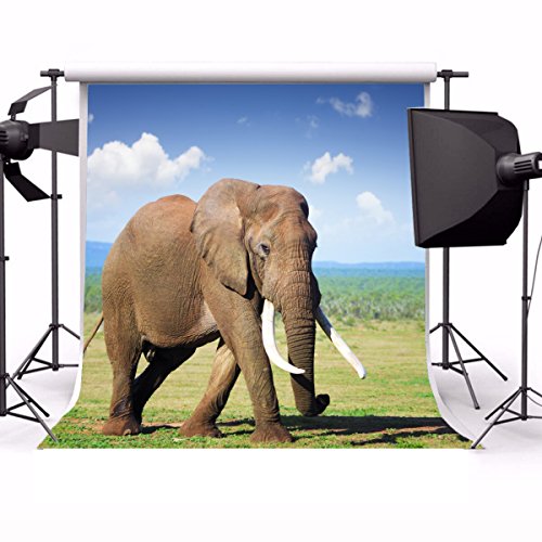 Yeele 6x6ft Elephant Backdrop Africa Grassland Wildlife Animal Safari Zoo Background for Photography Outdoors Scenery Kid Adult Photo Booth Shoot Vinyl Studio Props