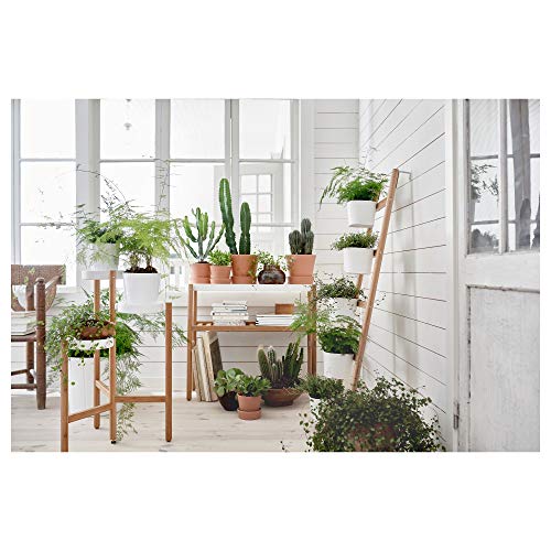 Image of Ikea SATSUMAS Plant Stand, Bamboo, White, 78 cm (30 inch)