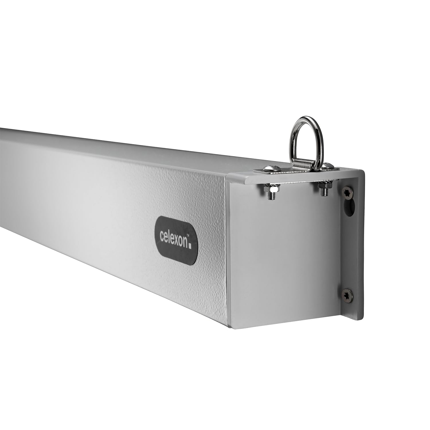 Celexon Leinwand Motor Professional Plus 220 x 137 cm