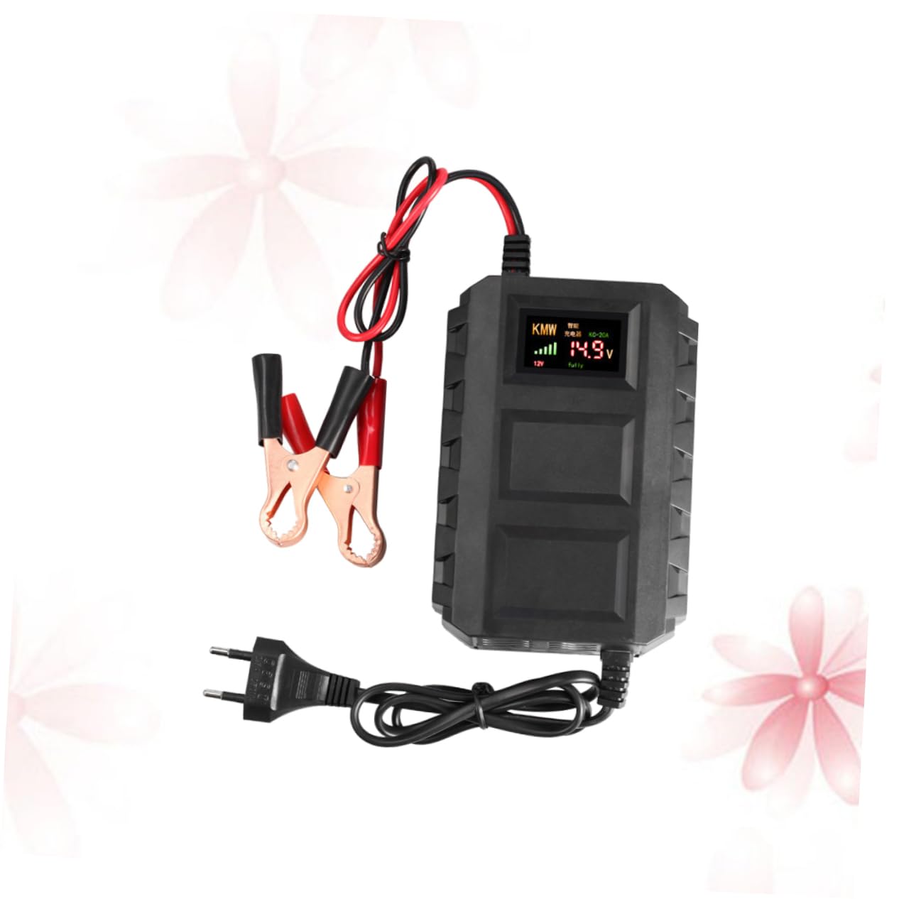 Chargeur de Batterie 12 V 20 A pour Moto et Batterie Automobile