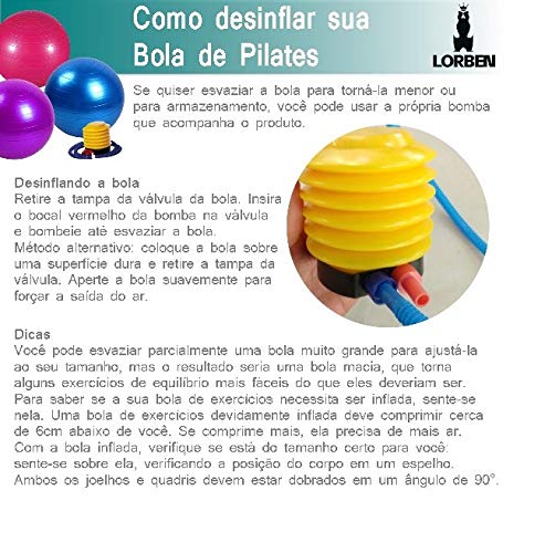 Bola para Pilates exercícios 65cm suporta até 150kg GT351-PU Roxo - Lorben