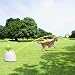 ALL FOR PAWS Hyperfetch - Juguete De Lanzamiento Automático De Pelotas Interactivas,...