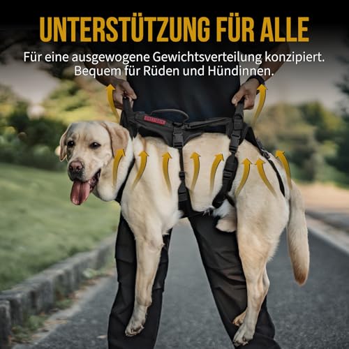 OneTigris Hundegeschirr, Tragehilfe Hund groß Ganzkörper Mit 2 Schultergurte Abnehmbares, Hund Tragehilfe Verstellbare Rückenlänge für Rüden und Hündinnen, Sicherheitsgeschirr mit 3 Griffen, M Schwarz