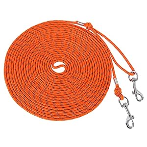 Reflective Cat Leash -30FT Cat Cable Out Leash Escape Proof Walking Leads Yard Long Leash Durable Safe Personalized Extender Leash Traning Play Outdoor for Puppies/Kittens/Rabbits/Small Animals