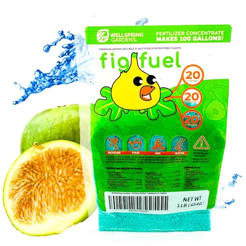Wellspring Gardens Fig Fuel Fertilizer - Water-Soluble 20-20-20 Blend for Fig Trees, Fruit & Plant -...