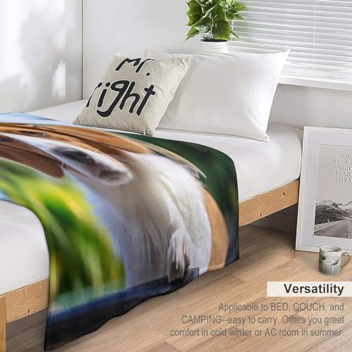 Manta de forro polar texturizada de 180 x 200 cm para salones 7