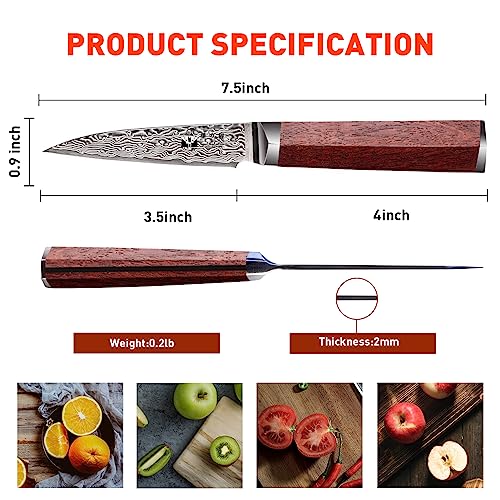 Fujuni Damascus Paring Knife 3.5-Inch Fruit And Vegetable Paring Knife  67-Layer Damascus With Vg10 Cutting Core Peeling Knife With Full Tang Ergonomic Natural Wood Handle For Peeling #TOP5