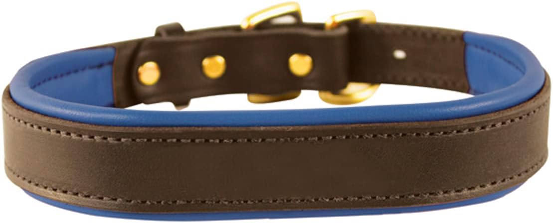 Perri's Padded Leather Dog Collars in Metallic and Bold Non-Metallic Colors