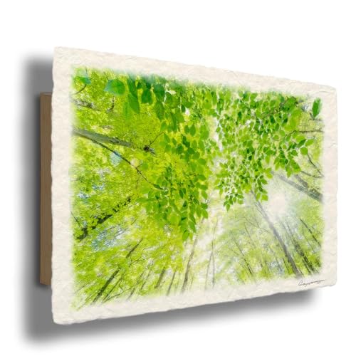 風景画 絵画 インテリア アートパネル 風水 絵 玄関 おしゃれ 壁掛け 和紙の絵写真 「太陽と新緑の雑木林と若葉」 パネル付き 30x21cm 緑 初夏 Natural Memories