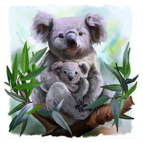 Taoytou DIY Diamant Peinture, 5D DIY Plein Foret Diamant Peinture Koala Point De Croix Broderie Mosaïque Kit