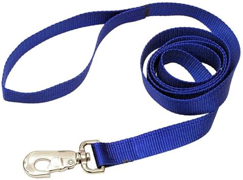 LuckyPet Nylon Dog Leash - 6 Foot Leash - Rugged Nylon Webbing with a Loop Handle and a Durable Metal Clip - Size: 3/8" Width, Color: Red