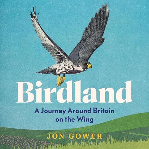 Birdland by Jon Gower episode artwork