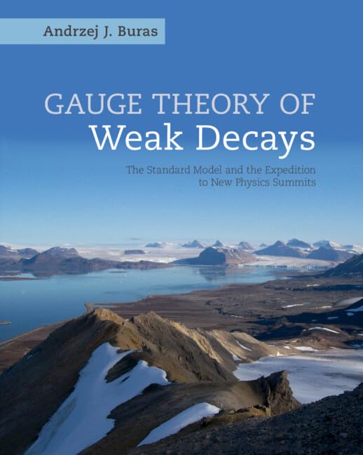 Gauge Theory of Weak Decays: The Standard Model and the Expedition to New Physics Summits (Cambridge Monographs on Particle Physics, Nuclear Physics an)