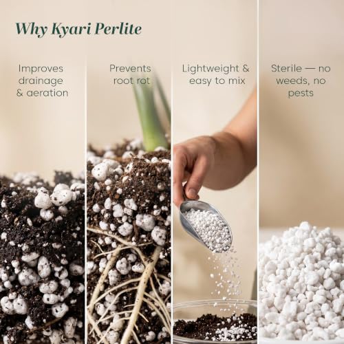 Image of Kyari Perlite 250g for Plants Horticulture soil for Drainage & Aeration