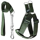 Coleira Peitoral Americano Para Cachorros Médio Grande Ajustável (Verde, G (30mm))