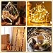 Twinkle Star 33FT 100 LED Silver Wire Fairy String Lights for Christmas Wedding Party Home Holiday Decoration,Battery Operated, Warm White, Pack of 1