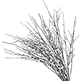 Gcroet