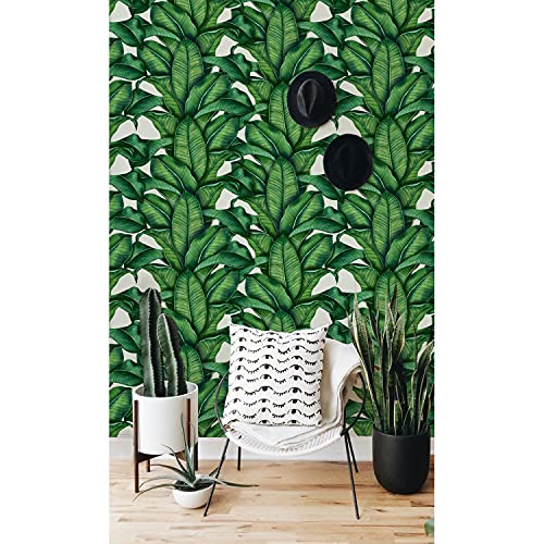 Papier peint intissé pour masquer les défauts d'un mur de salon - 2