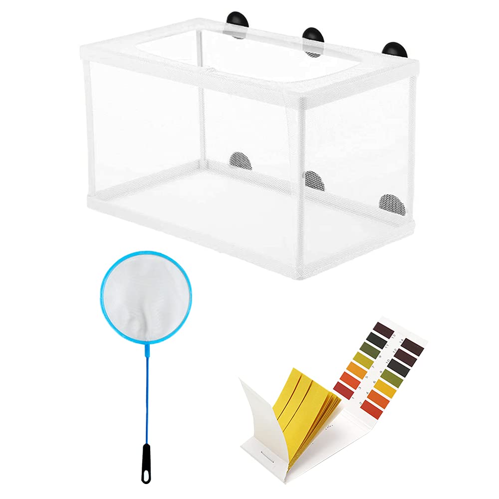 Buy Swetup Aquarium Fish Breeding Box, Fish Hatchery Isolation Box