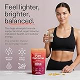 Sacred Summit Pure Berberine 500mg – 10:1 Extract (5000mg Equivalent) – Vegan Capsules Made in UK – Premium Plant-Based Supplement for Everyday Balance and Vitality – 90 Capsules - Image 3