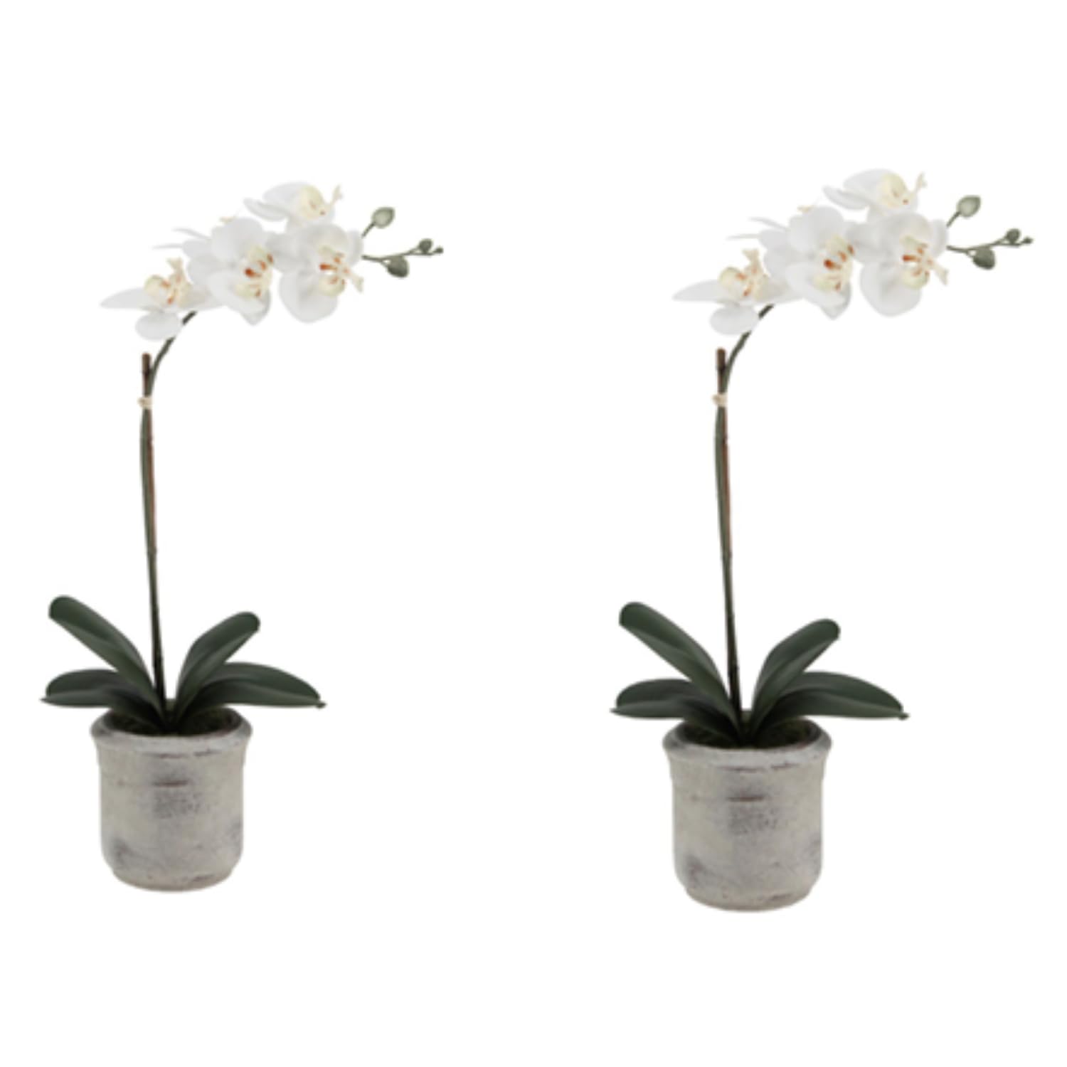 CG Hunter, Faux Phalaenopsis White Orchid Plant, Set of 2, 22 in, White
