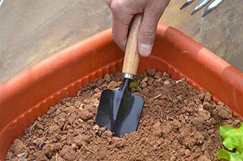 GION 3 Piece Gardening Tool Set Mini Wood Handle Cultivator, Gardening Scissors, Garden Forks, Gardening Tool Set, Garden Tools (Set of 3)