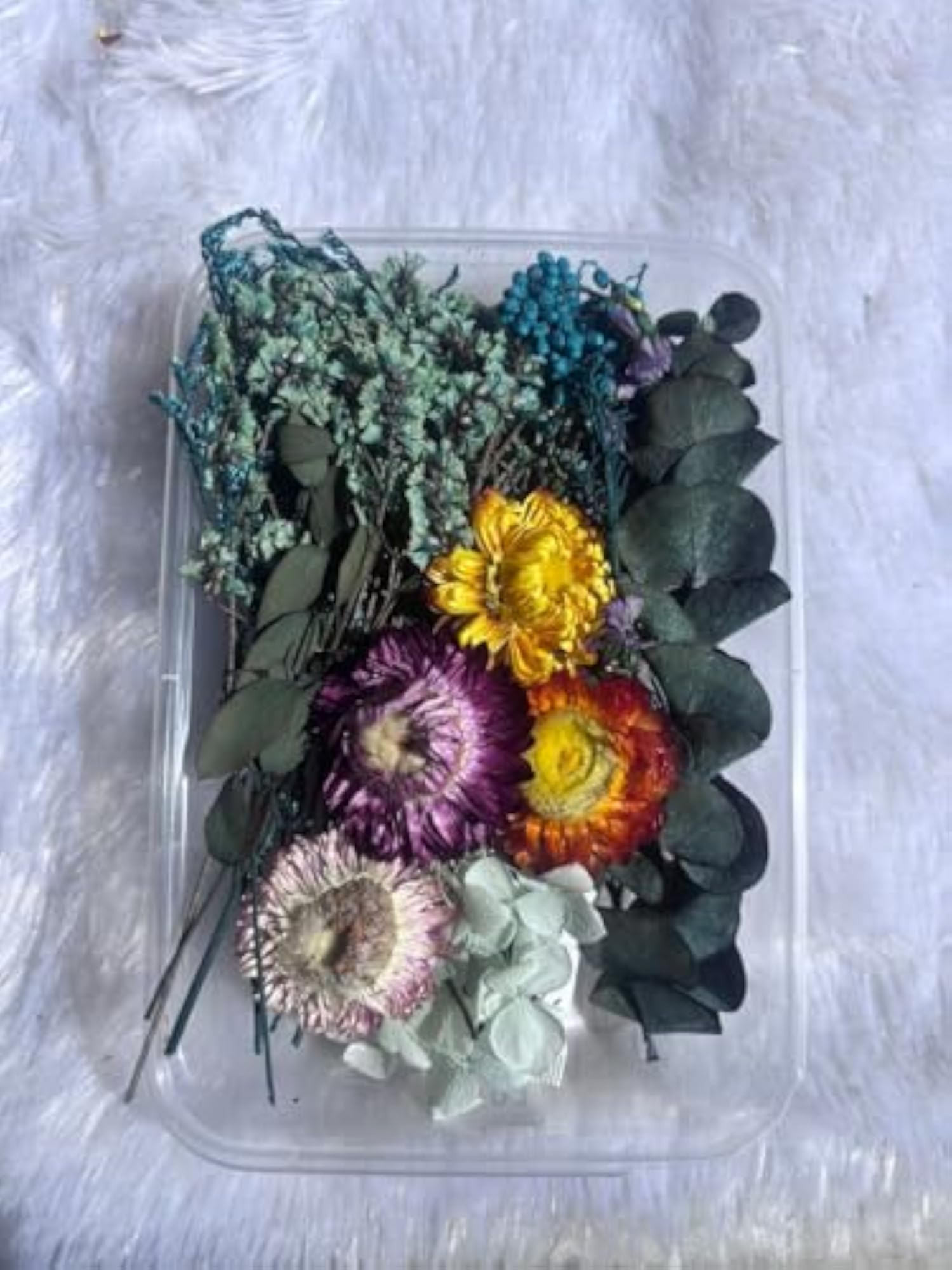Premium Dried Flowers for Resin Art & DIY