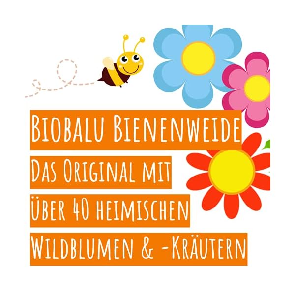 Biobalu Bienenweide Samentütchen - Blumenwiesensamen mehrjährig - Blumensamen als Hochzeitsgeschenk, Gastgeschenk… – Bild 3