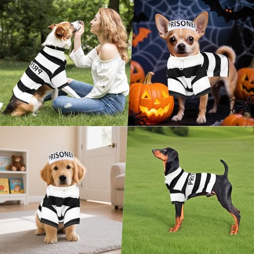 Disfraz Prisionero para Perro Talla XL miniatura 5
