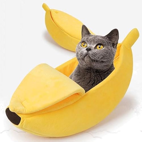 oii^ Lxbh xbh ybgxbh L nEX  oii{[g Q lGʗp PP ۉ h 􂦂 Q p zc ʔ G悢 Ƒ CG[ (XL)