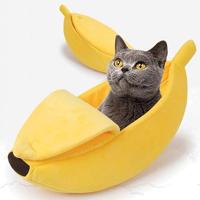 ペットの猫の巣フルーツバナナ ペットの猫の巣フルーツバナナ