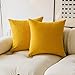 Kevin Textile Decor Soft Solid Velvet Toss Throw Pillow Cover Spring Fashion Striped Decorative Pillow Case Handmade Cushion Cover for Couch, 18x18 inches,2 Pieces,Primrose Yellow