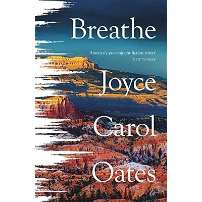Breathe: A Haunting Literary Fiction Novel About the Intense Madness of Grief