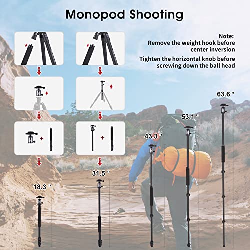Phosnova Compact Camera Tripod 62",Lightweight Travel Tripod For Dslr With 360 Degree Ball Head Detachable,Camera Monopod,11Lbs Load For Video Camcorder #TOP4