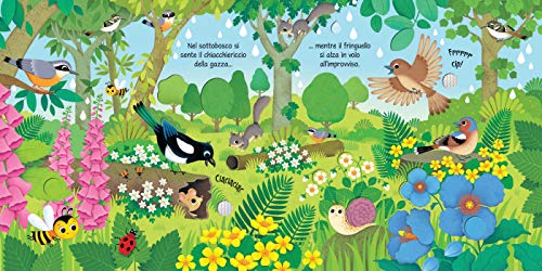 Usborne GB Bird Sounds