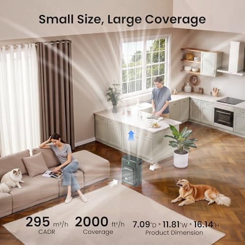 Image of Pet Air Purifier for Home Large Room 2500 Sq Ft, H13 HEPA Double-Sided Filter with Washable Pre-filter, Adsorbs Pet Hair Dander Odor Allergies Smoke Dust,PM2.5 Air Quality Monitor,Auto Mode,P358 Black