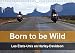 Produktbild Born to be wild - Les États-Unis en Harley-Davidson (Calendrier mural 2019 DIN A4 horizontal): Les magnifiques paysages du Sud-Ouest américain vus de ... américain vus de la selle d'une Harley
