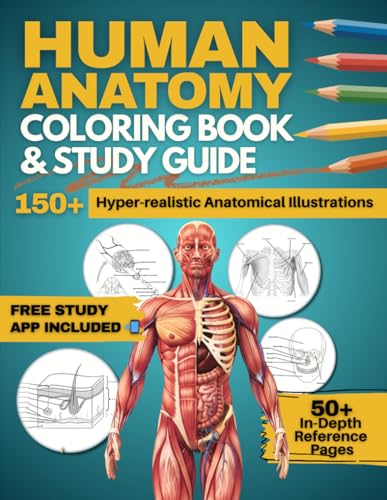 Human Anatomy Coloring Book and Study Guide: 150+ Hyper-Realistic Anatomical Illustrations, 50+ In-depth Anatomy and Physiology Study Guide Pages, and ... Medical, Nursing, and Healthcare Students.