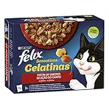 FELIX Snst GiJ MV Ctrysd 6(12x85g) XM de la marca PURINA